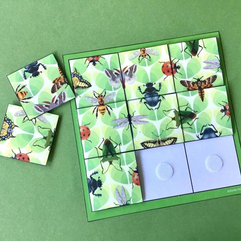Insekter